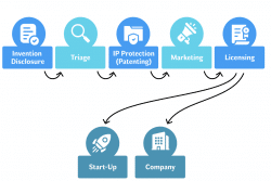 An illustration of an invention lifecycle at a TTO